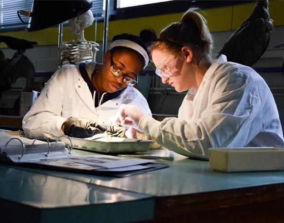 students in a science lab